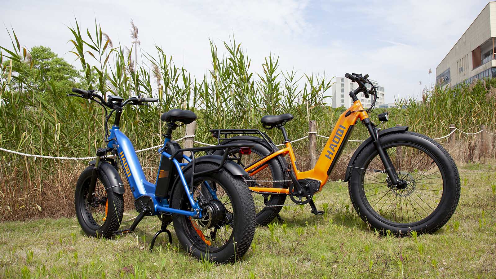 HAOQI Eagle Step Thru All-Terrain Elektrofahrrad 2.0