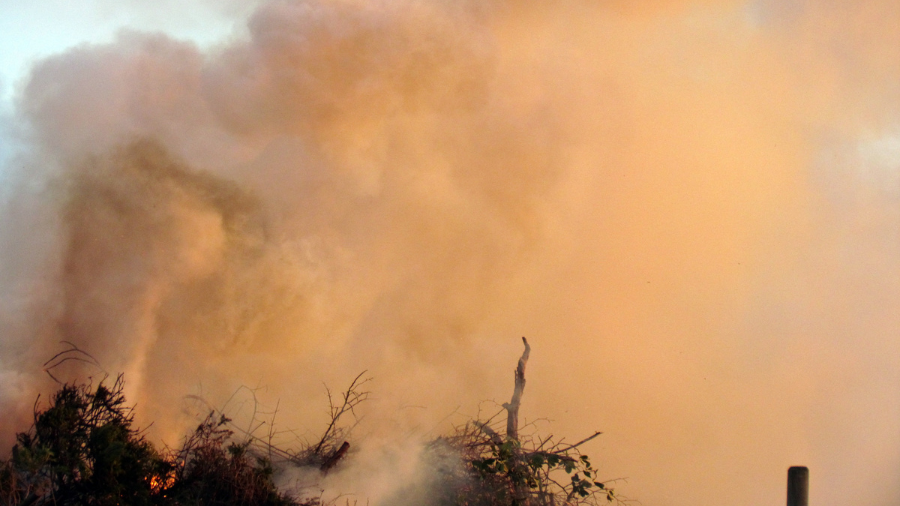 Lektionen aus den Waldbränden in Los Angeles 2025: Wie E-Bikes Nachhaltigkeit und Notfallmaßnahmen unterstützen