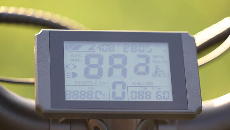 LCD Anzeige