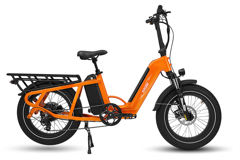 Haoqi Camel Cargo E-Bike