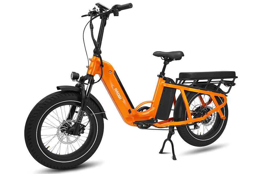 Haoqi Camel Cargo E-Bike