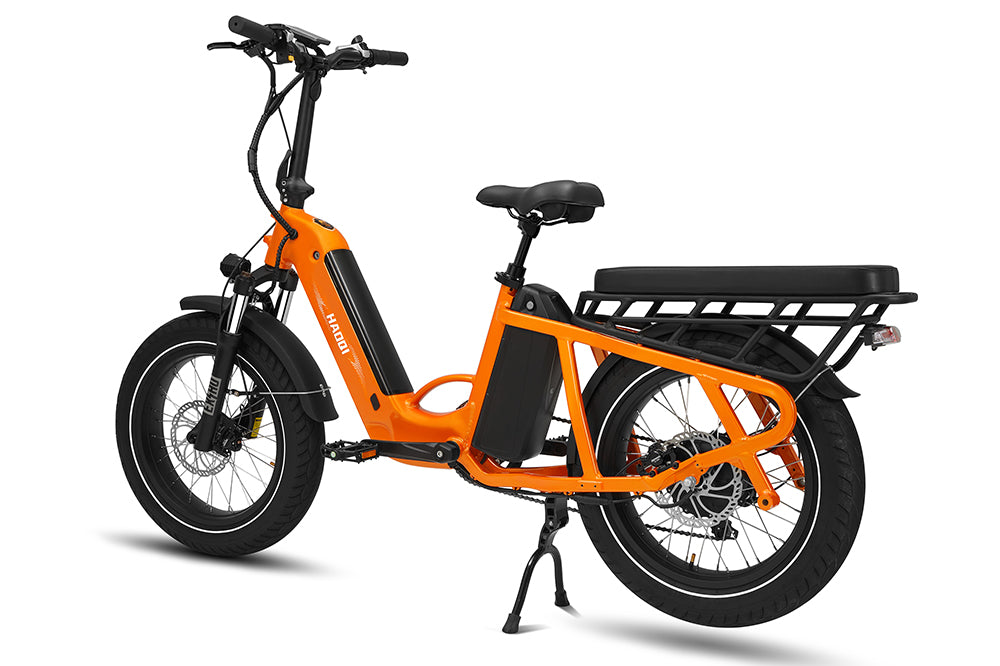 Haoqi Camel Cargo E-Bike