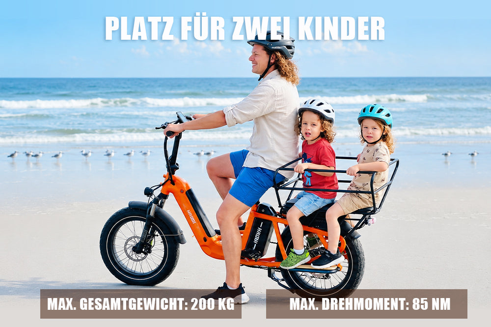 Haoqi Camel Cargo E-Bike