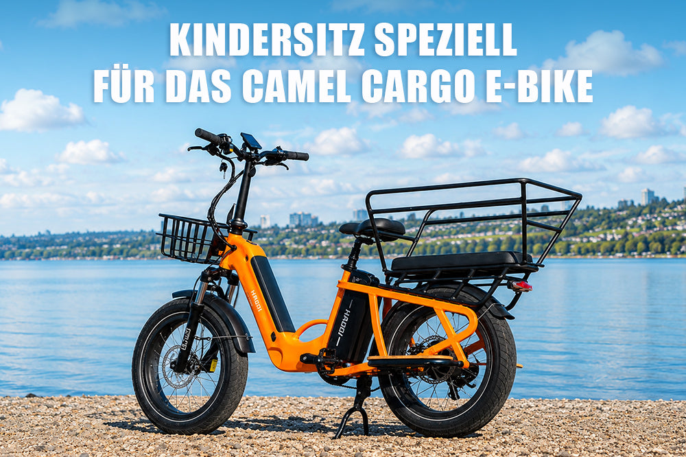 Haoqi Camel Cargo E-Bike