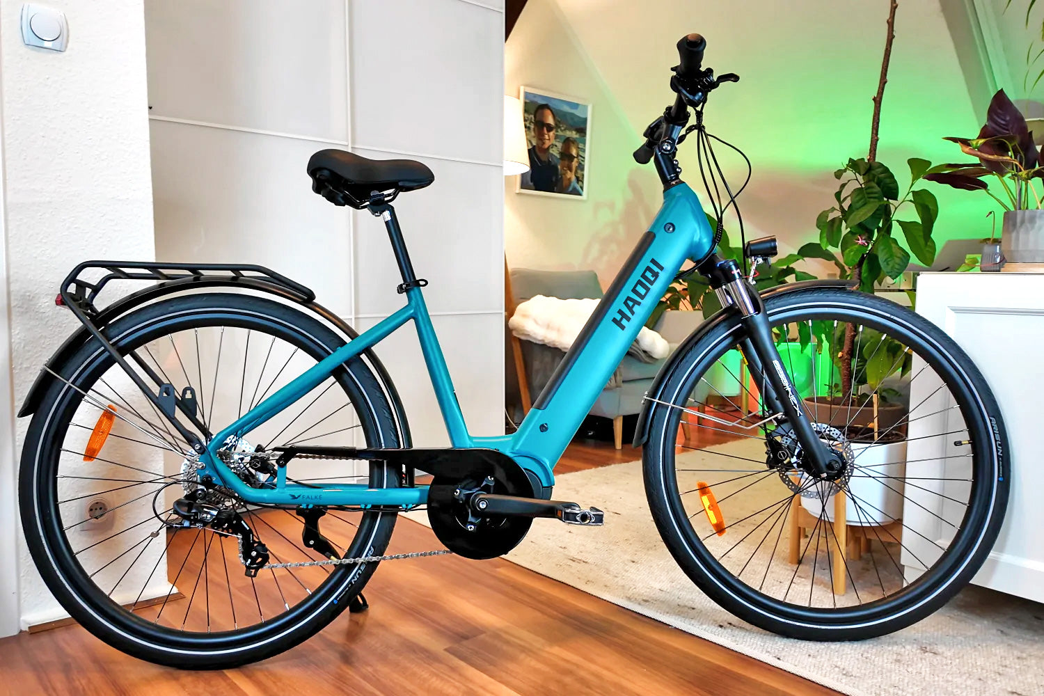 HAOQI Falke Step Thru Elektrofahrrad