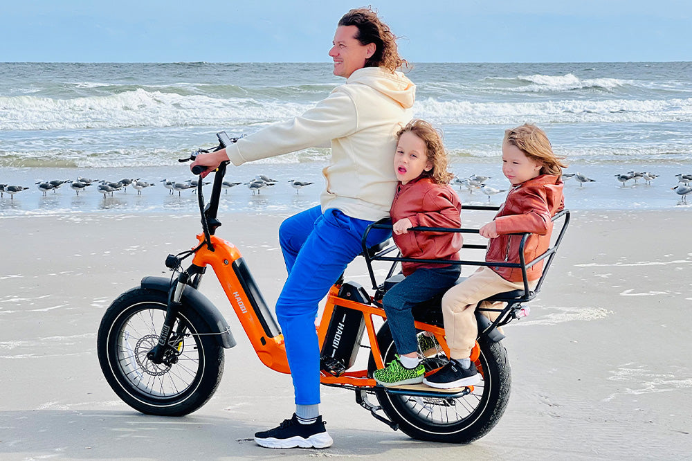 Haoqi Camel Cargo E-Bike