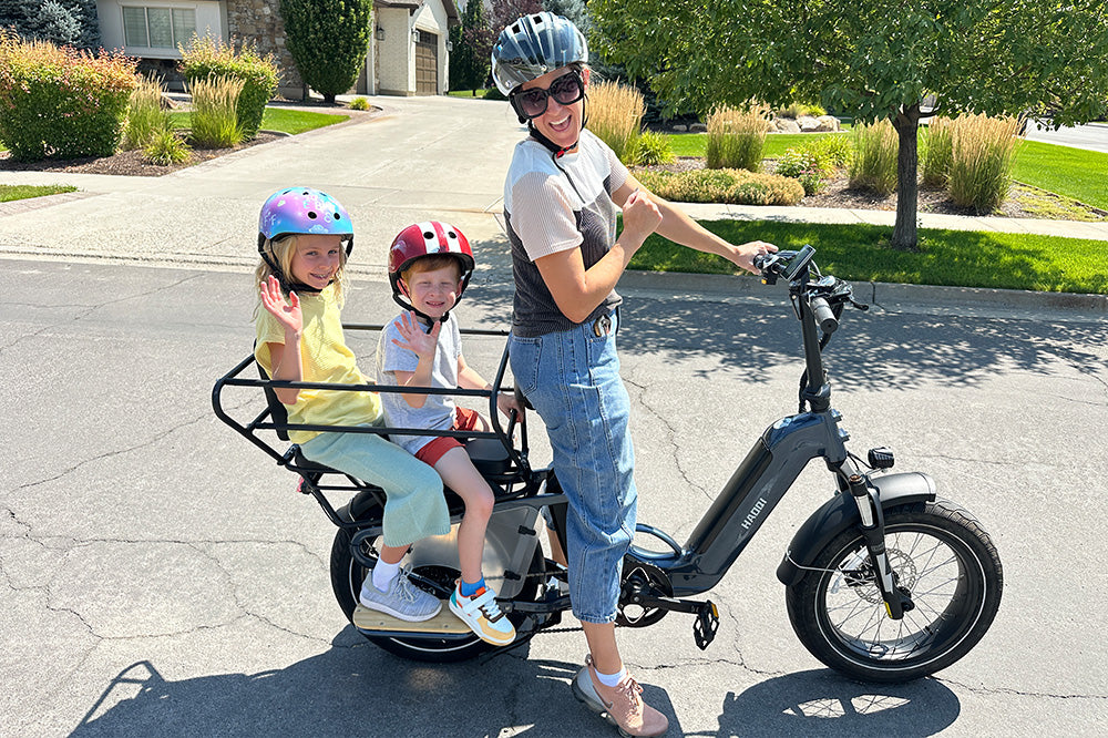 Haoqi Camel Cargo E-Bike