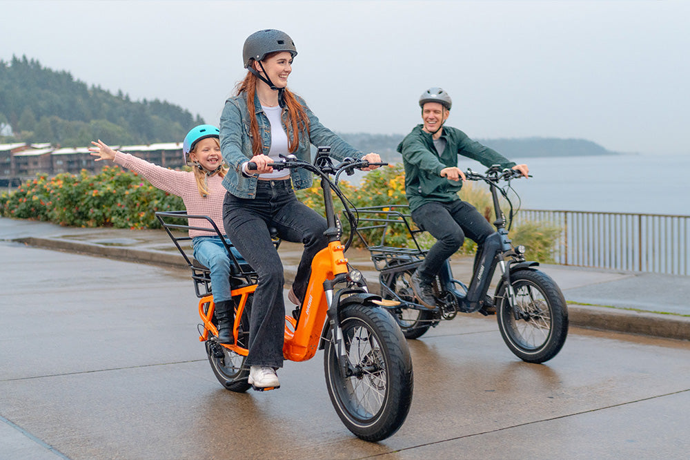 Haoqi Camel Cargo E-Bike