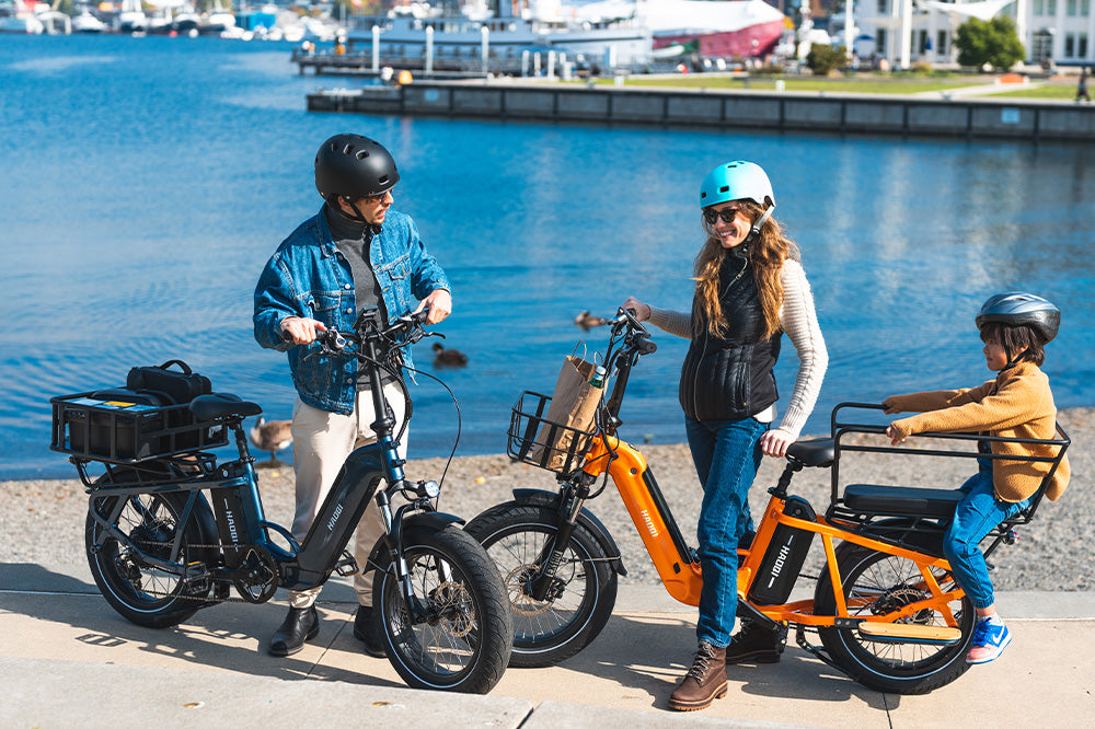 Haoqi Camel Cargo E-Bike