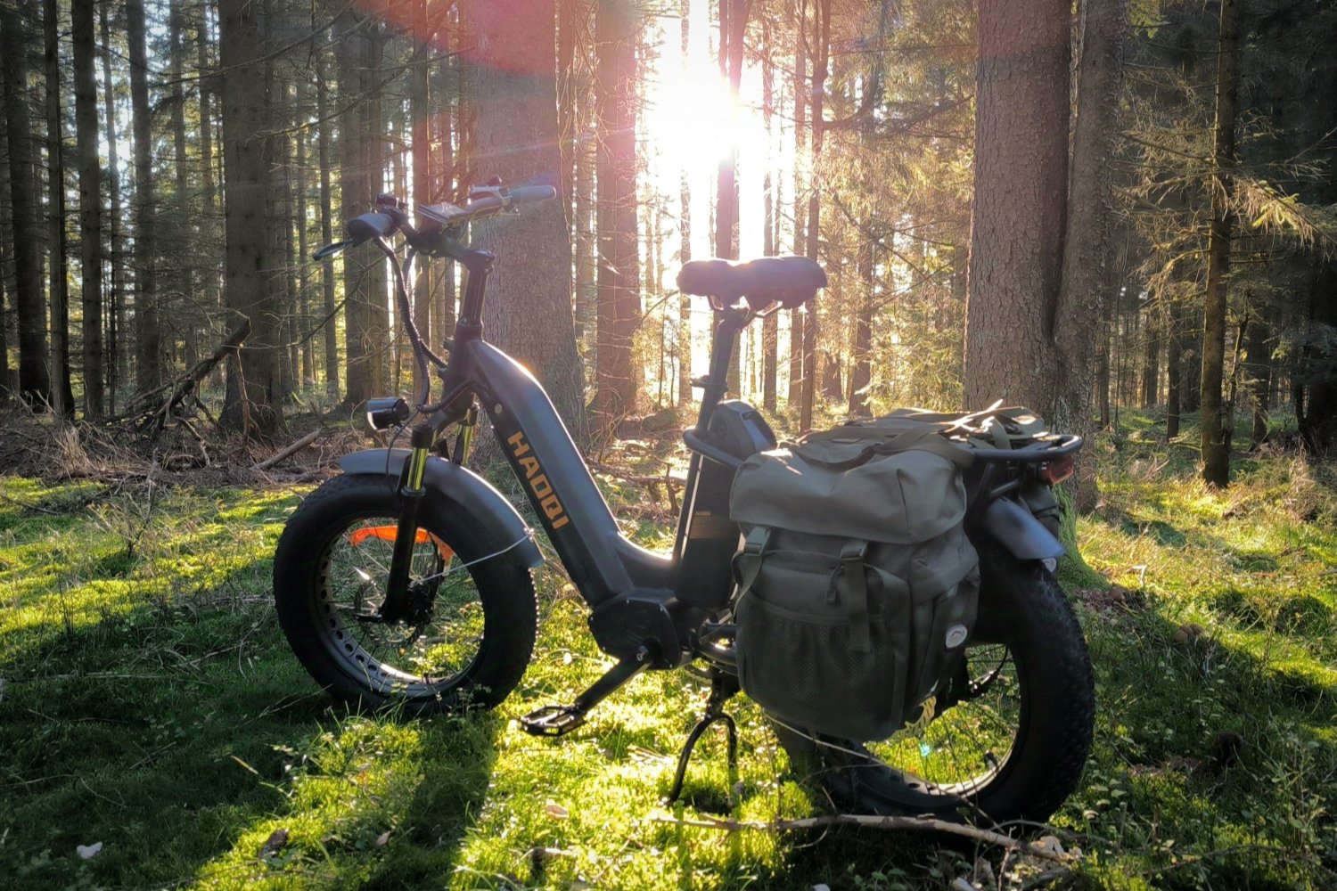 antelope pro cargo e-bike haoqi ebike
