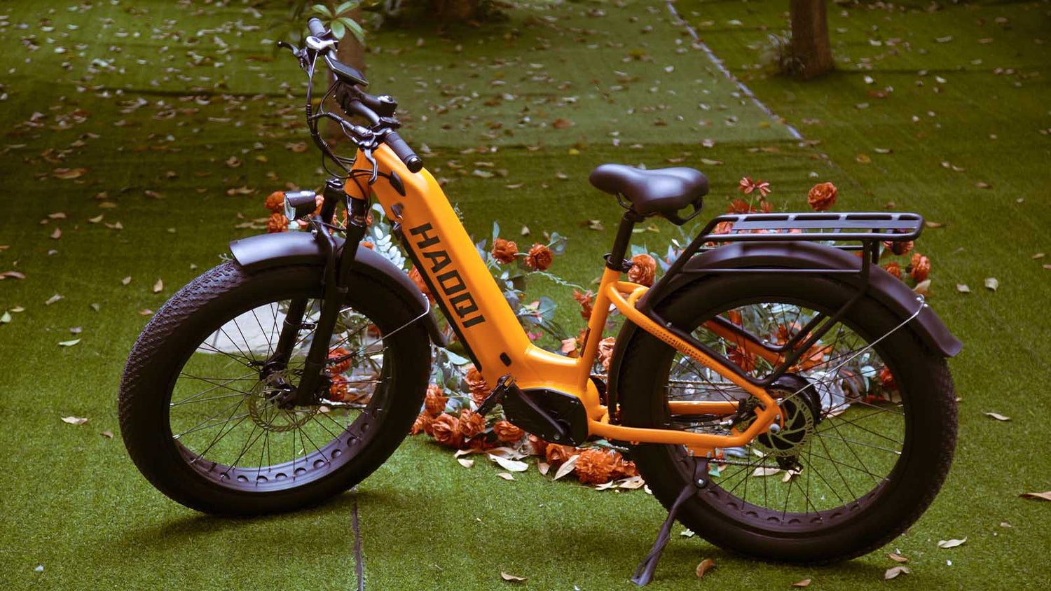 HAOQI Eagle Step Thru All-Terrain Elektrofahrrad 2.0