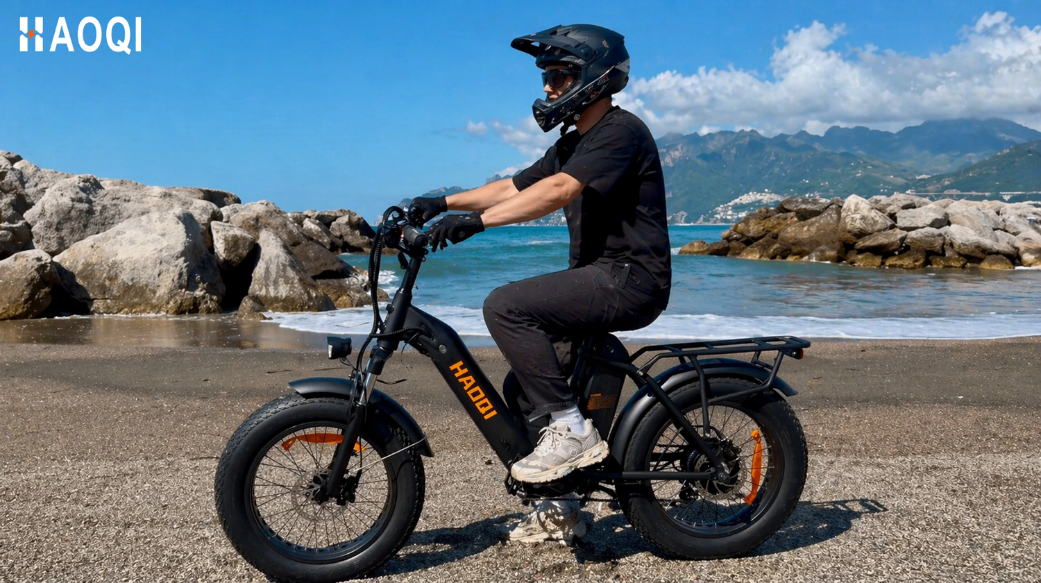 HAOQI Antelope 2.0 E-Lastenfahrrad mit sicherem Doppelbatterie-System in einer deutschen Stadtumgebung.