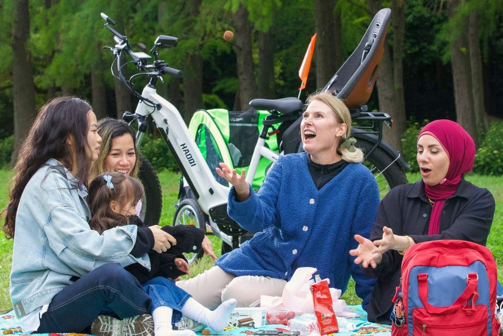 HAOQI All Terrain E-Bike Picknick