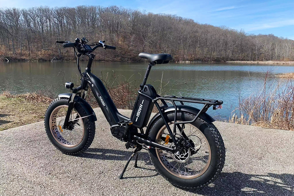 damenfahrrad antilope HAOQI Antelope 1.0 Ebike