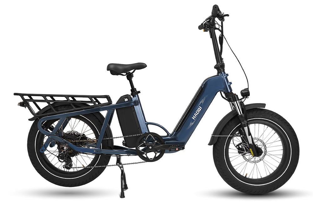 Haoqi Camel Cargo E-Bike