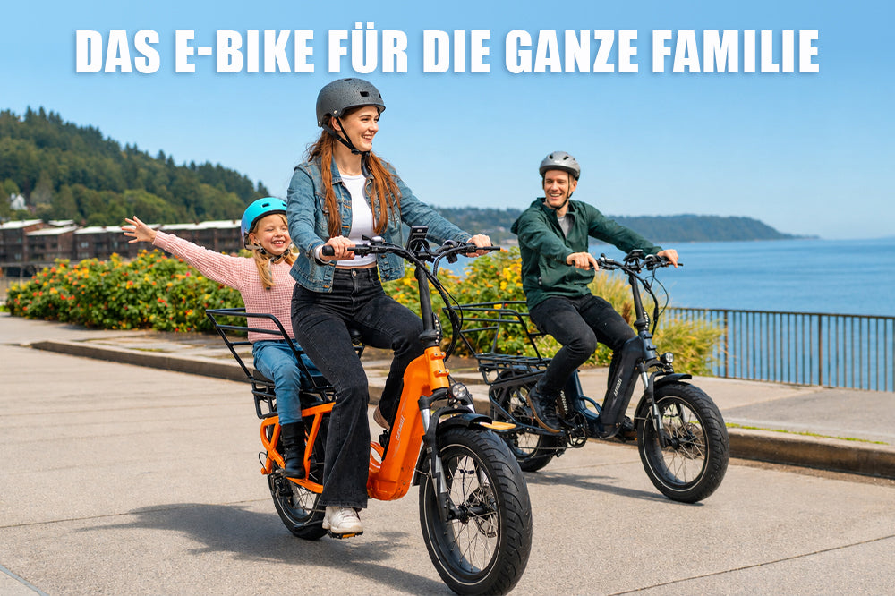 Haoqi Camel Cargo E-Bike