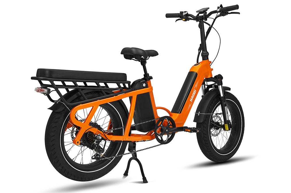Haoqi Camel Cargo E-Bike
