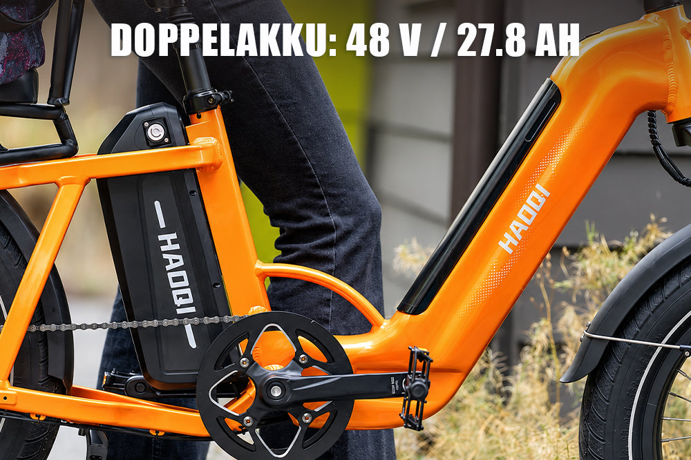 Haoqi Camel Cargo E-Bike