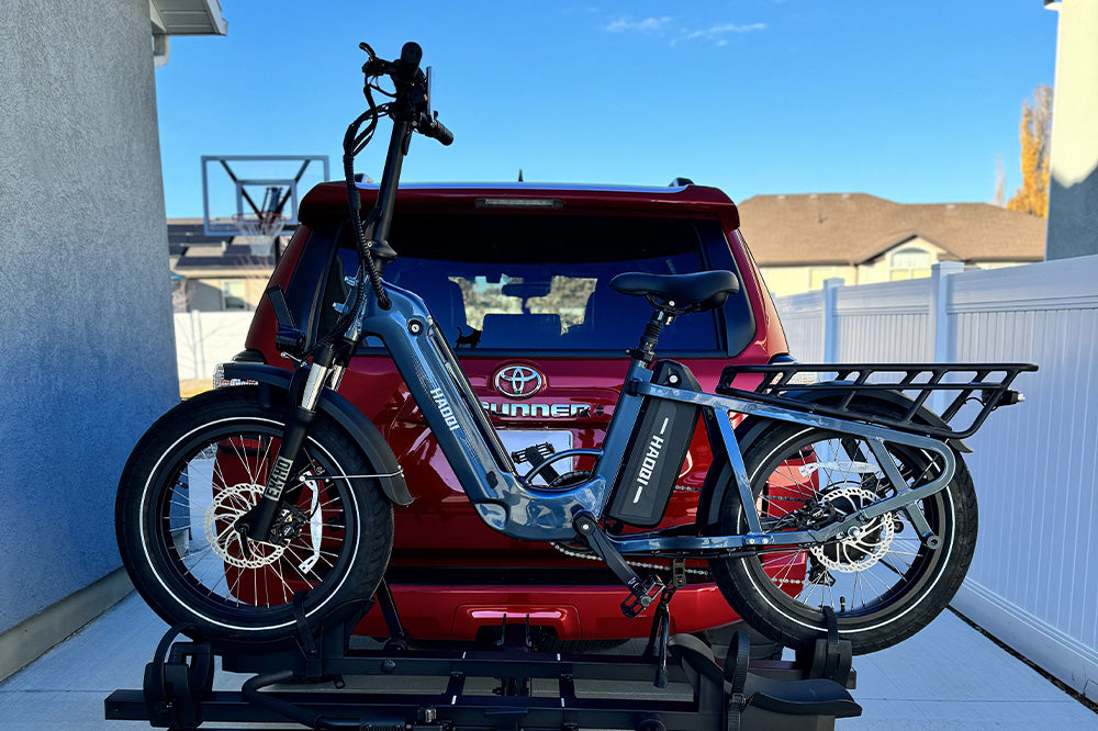 Haoqi Camel Cargo E-Bike