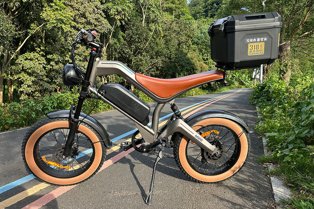 Motion Ebike M20 Elektro-Motorrad