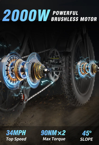 Ridstar Q20 Pro E-Motorcycle Dual Motor 2000W Mob