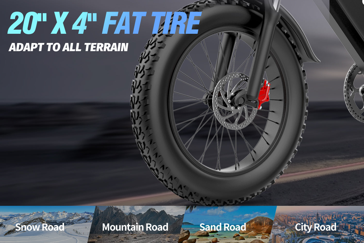 Ridstar Q20 Pro Ebike fat tire
