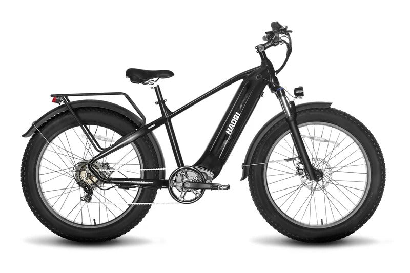 HAOQl Eagle E-Bike All-Terrain