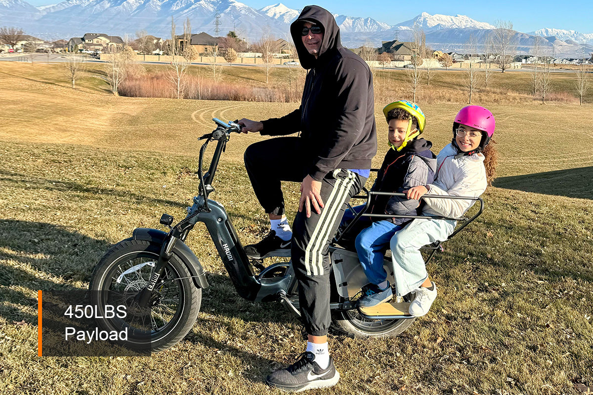 Haoqi Camel Cargo E-Bike