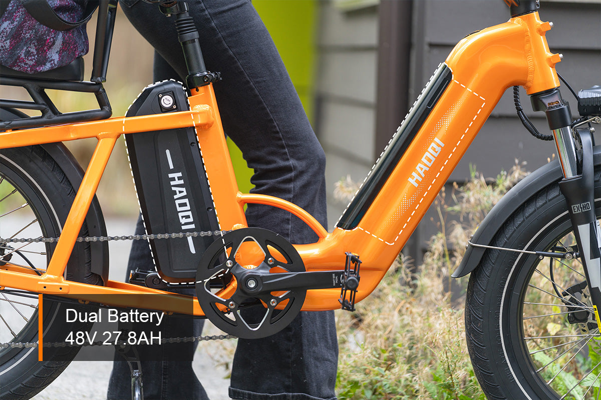 Haoqi Camel Cargo E-Bike