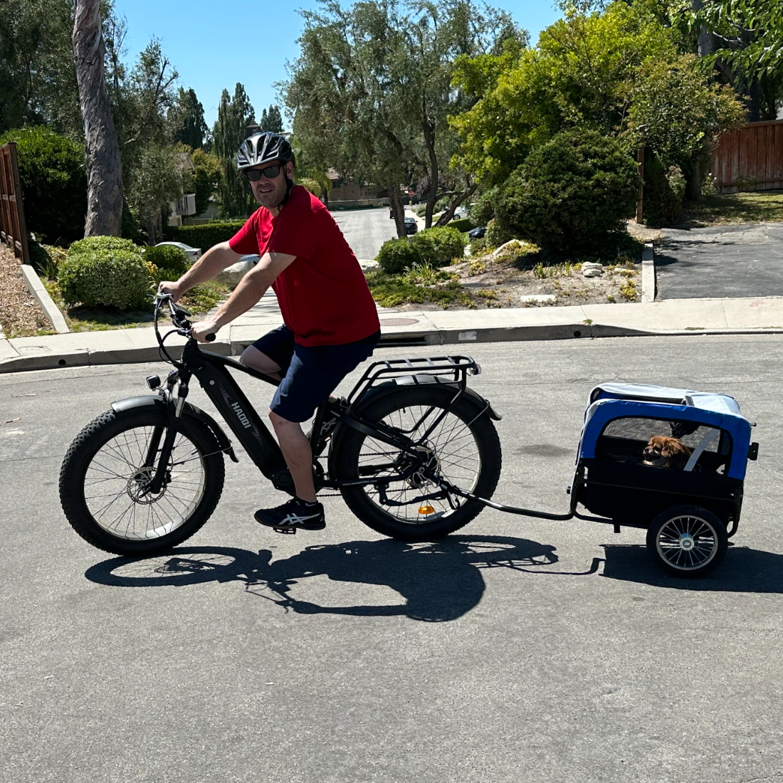 HAOQI E-Bike mit dem Haustier-Anhänger